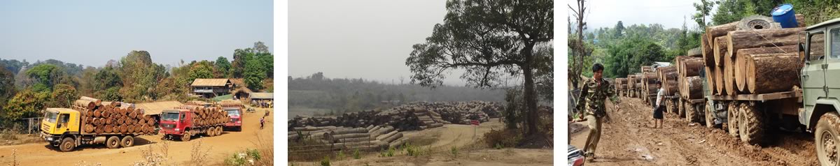 Burma deforestation problem