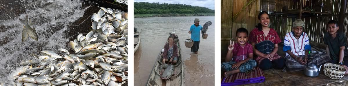 Electrofishing on the River Mekong