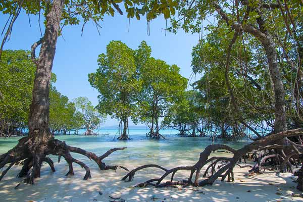 Radhanagar Beach on Havelock