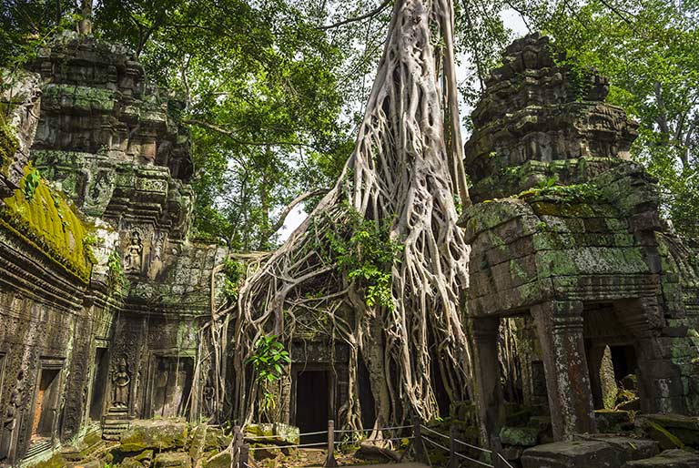 Ta Prohm temple at Angkor