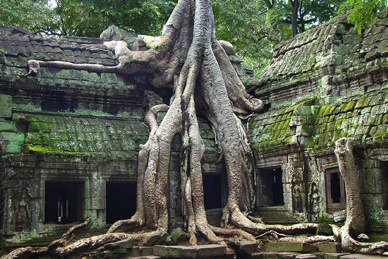 Must-see: The Ta Prohm temple complex at Angkor Wat in Cambodia