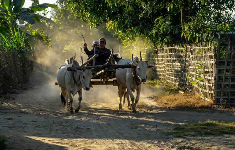 Irrawaddy River from Bagan to Mandalay 3