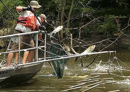 Shocking truth - the scourge of electrofishing