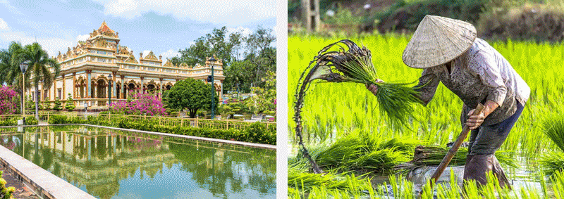Pandaw Cruises