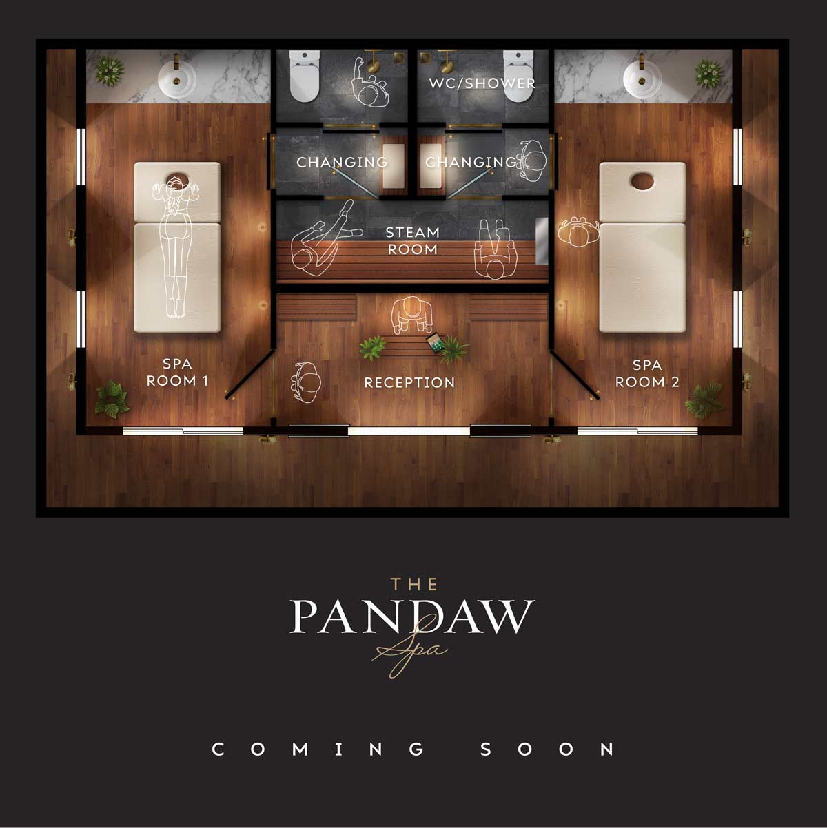 Pandaw Cruises