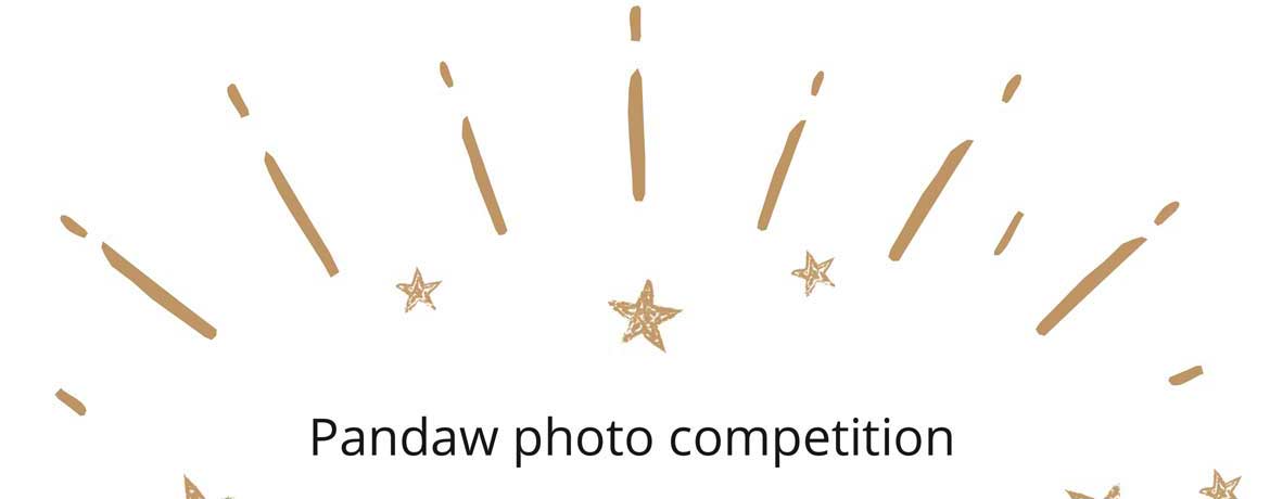 Pandaw Cruises