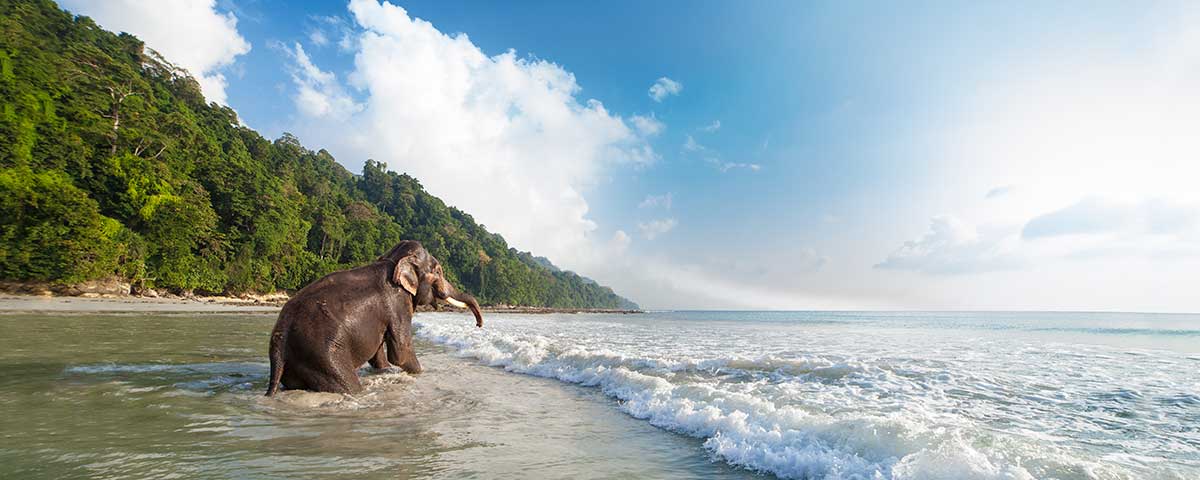 Andaman sea