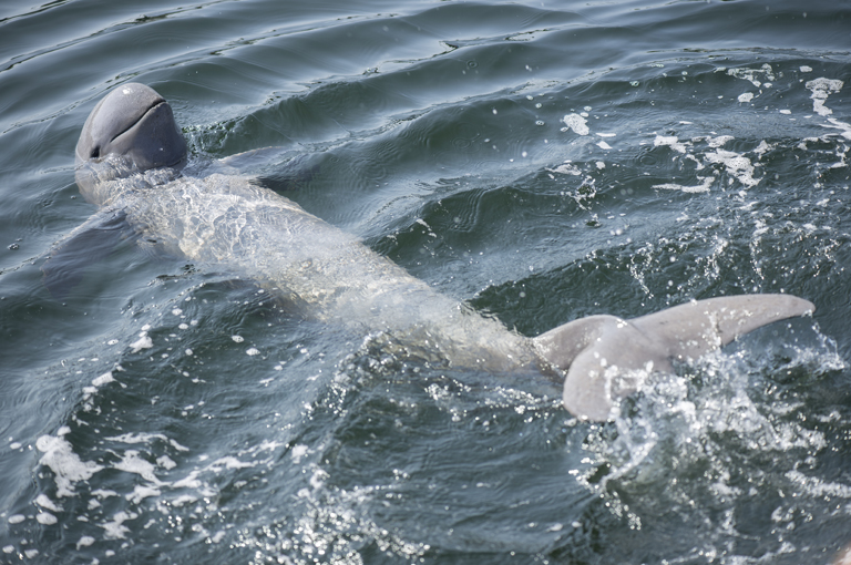 River Cruise itinerary for Kratie