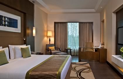 The Radisson Blue, Agra