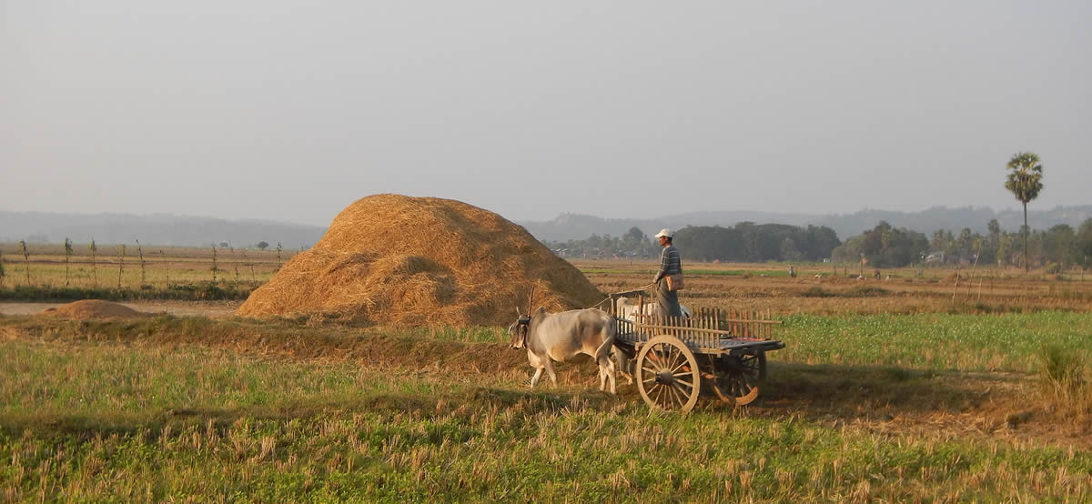 Daily life for villagers near Mingkin