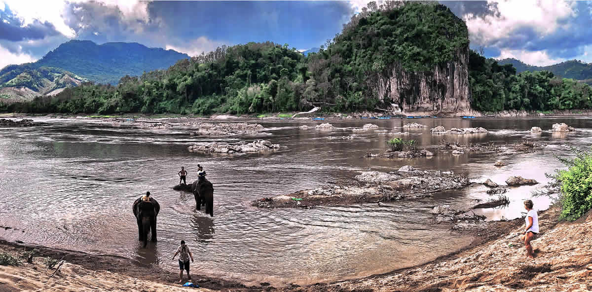 Nam Ou Elephants bathing opposite the Pak Ou Caves