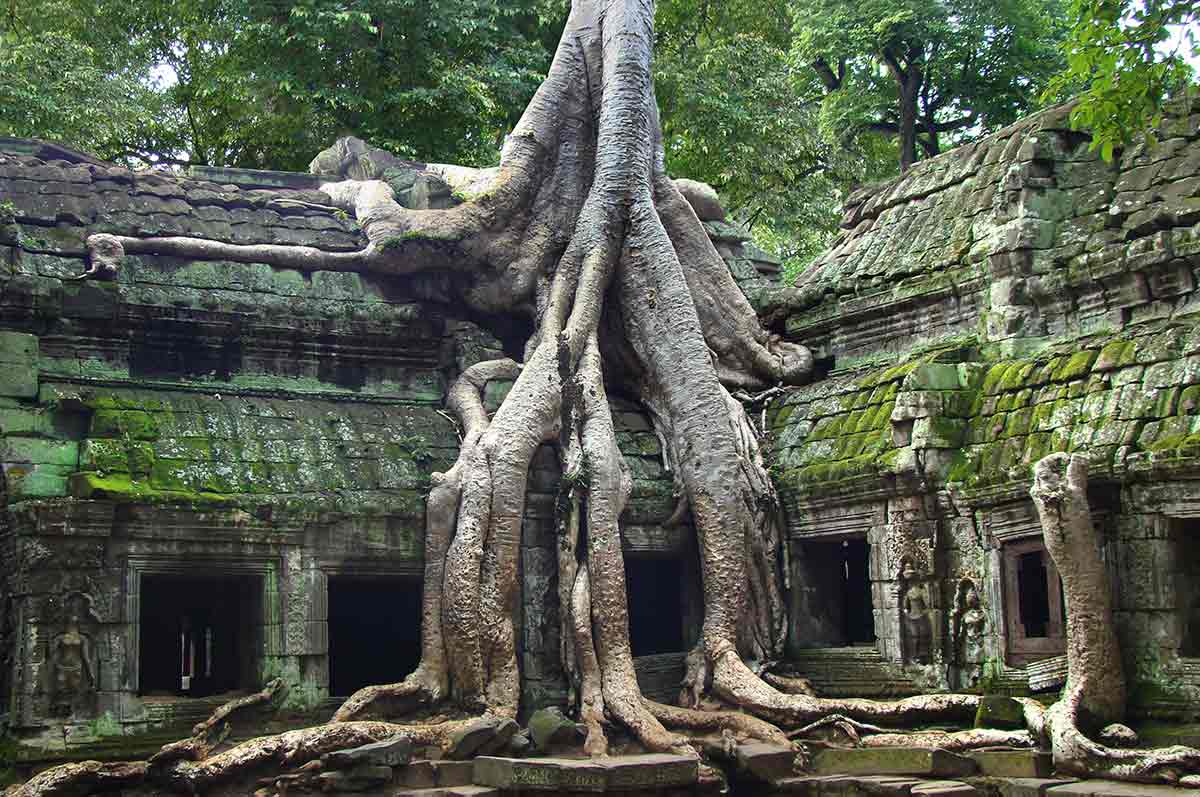 Ta Prohm Temple