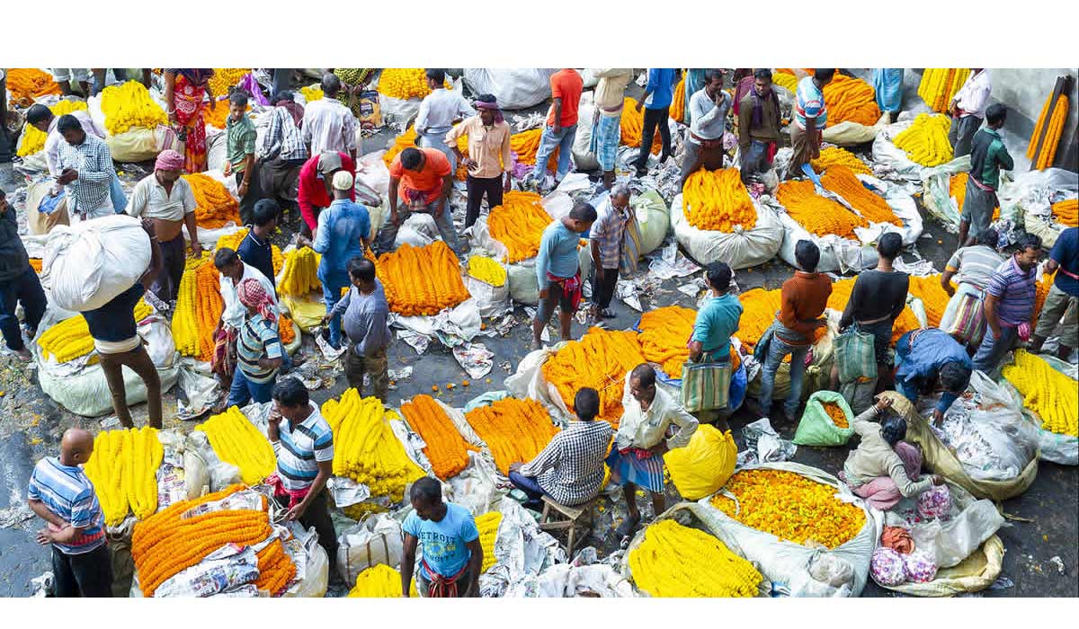 The amazing Kolkata flower market